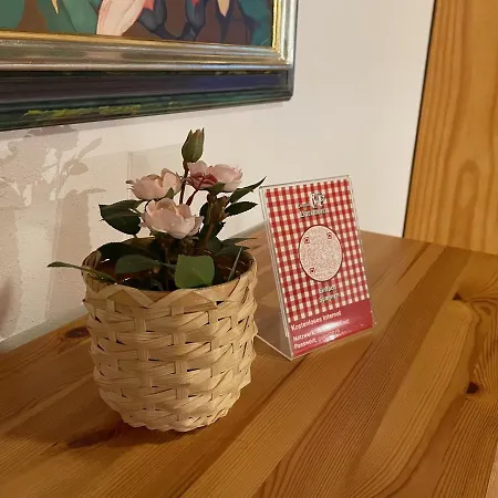 Baerenwirt 住宿加早餐酒店 洛伊塔施